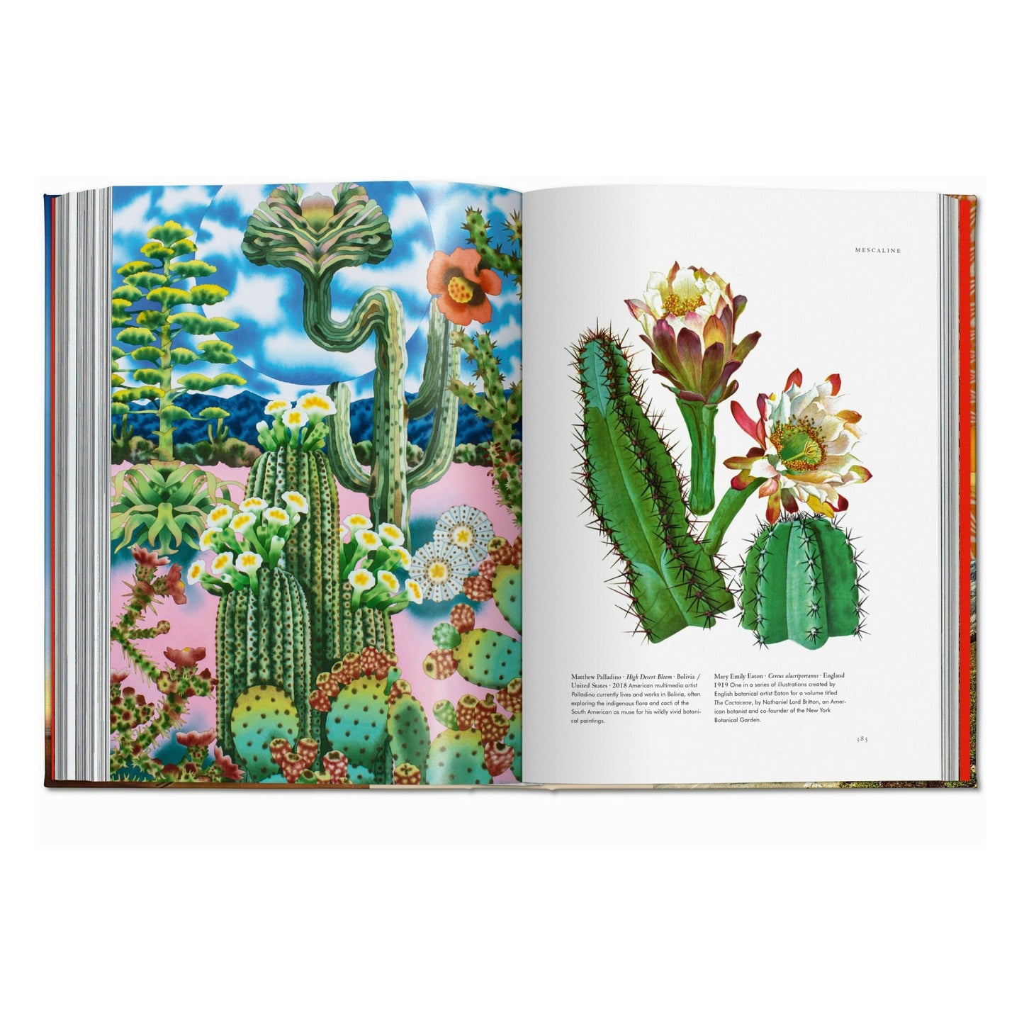 Plant Magick. The Library of Esoterica (English)