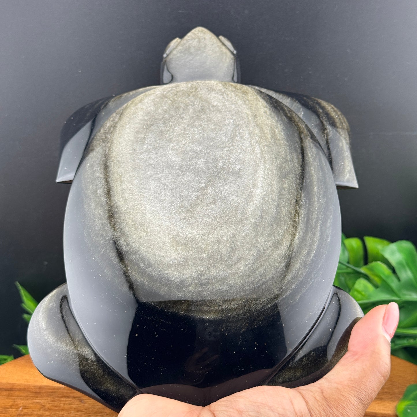 Gold Sheen Obsidian Turtle Carving