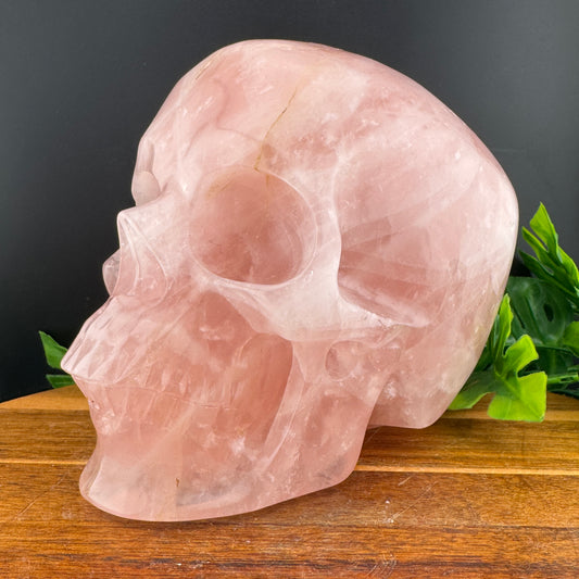 XL Rose Quartz Skull