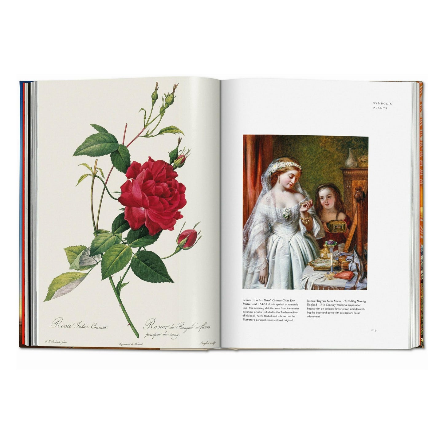 Plant Magick. The Library of Esoterica (English)