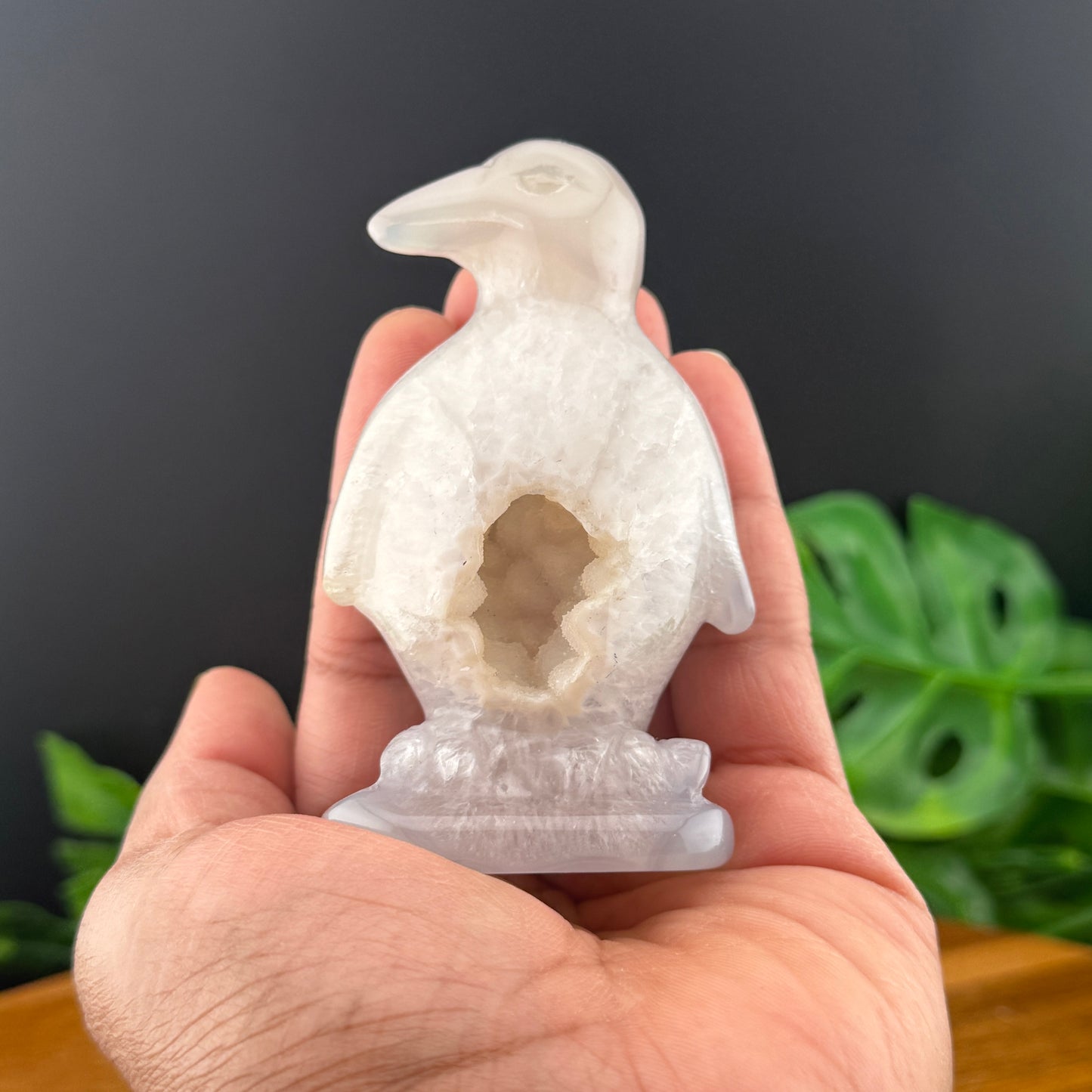 Botyrodial Druzy Agate Penguin