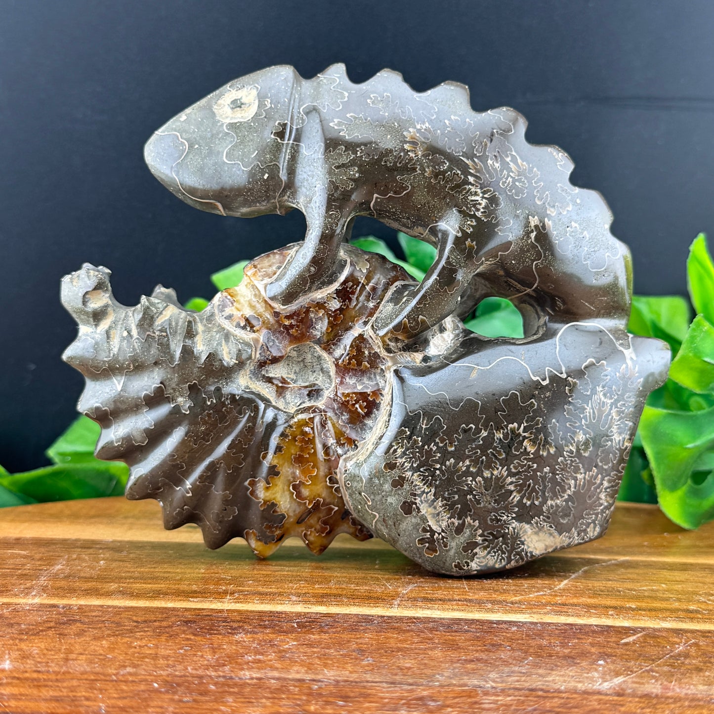 Ammonite Lizard Carving