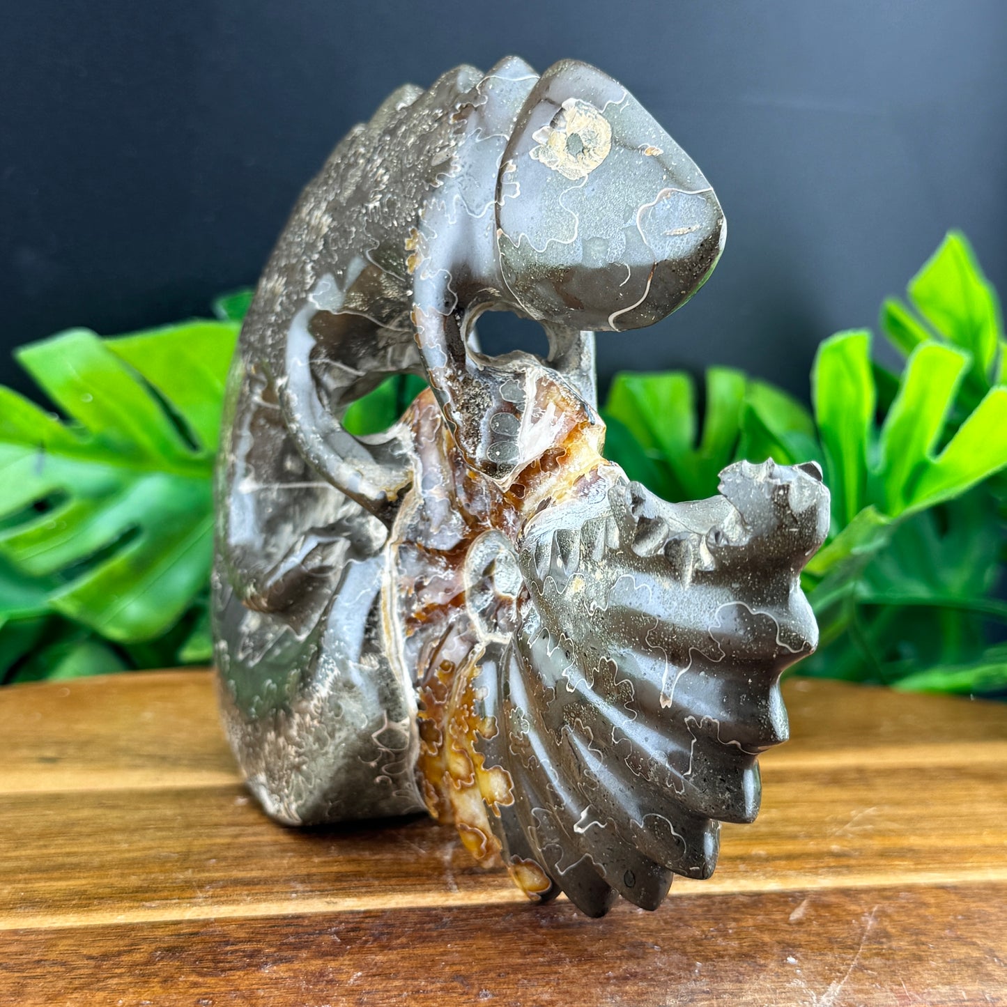 Ammonite Lizard Carving