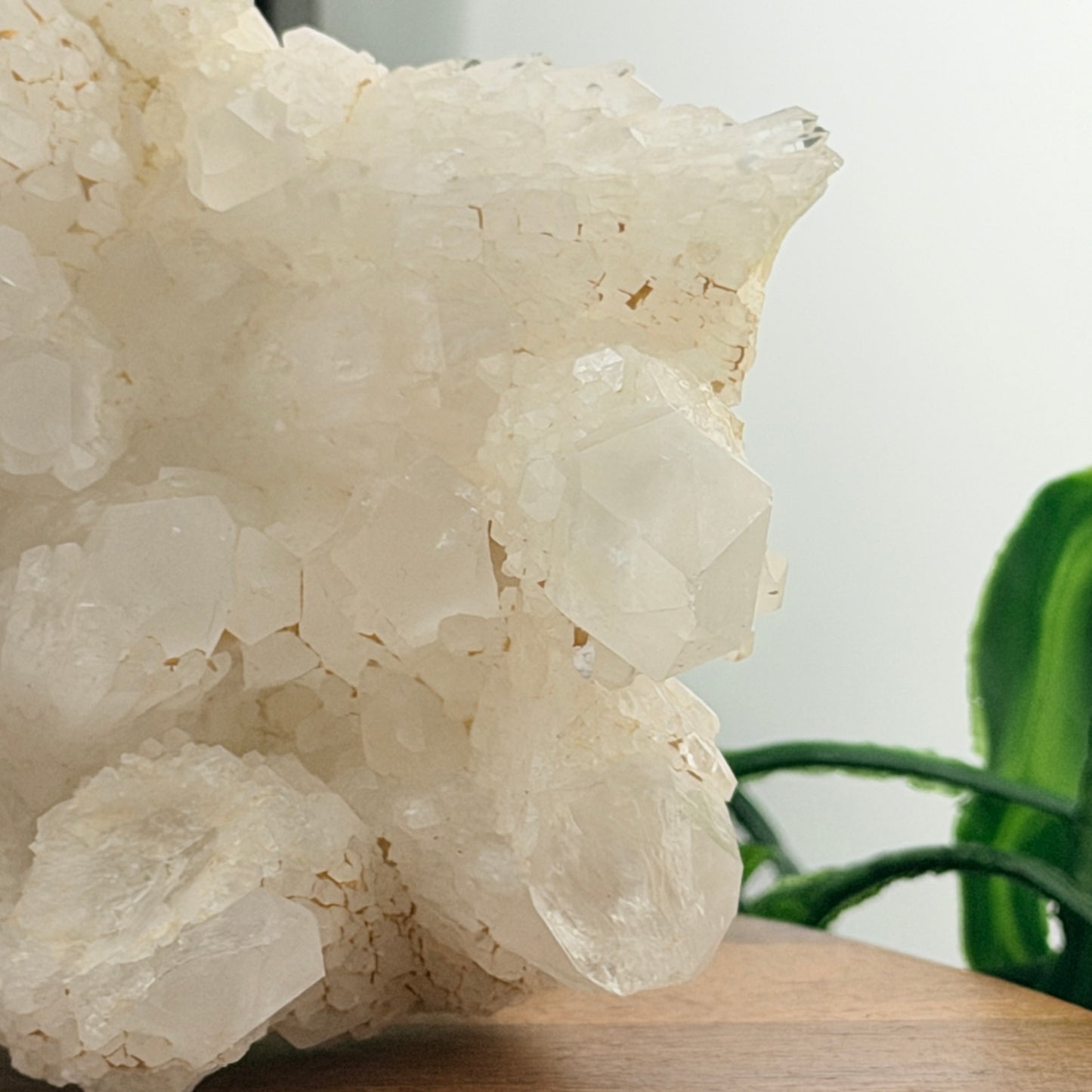 XL Pineapple Quartz Cluster