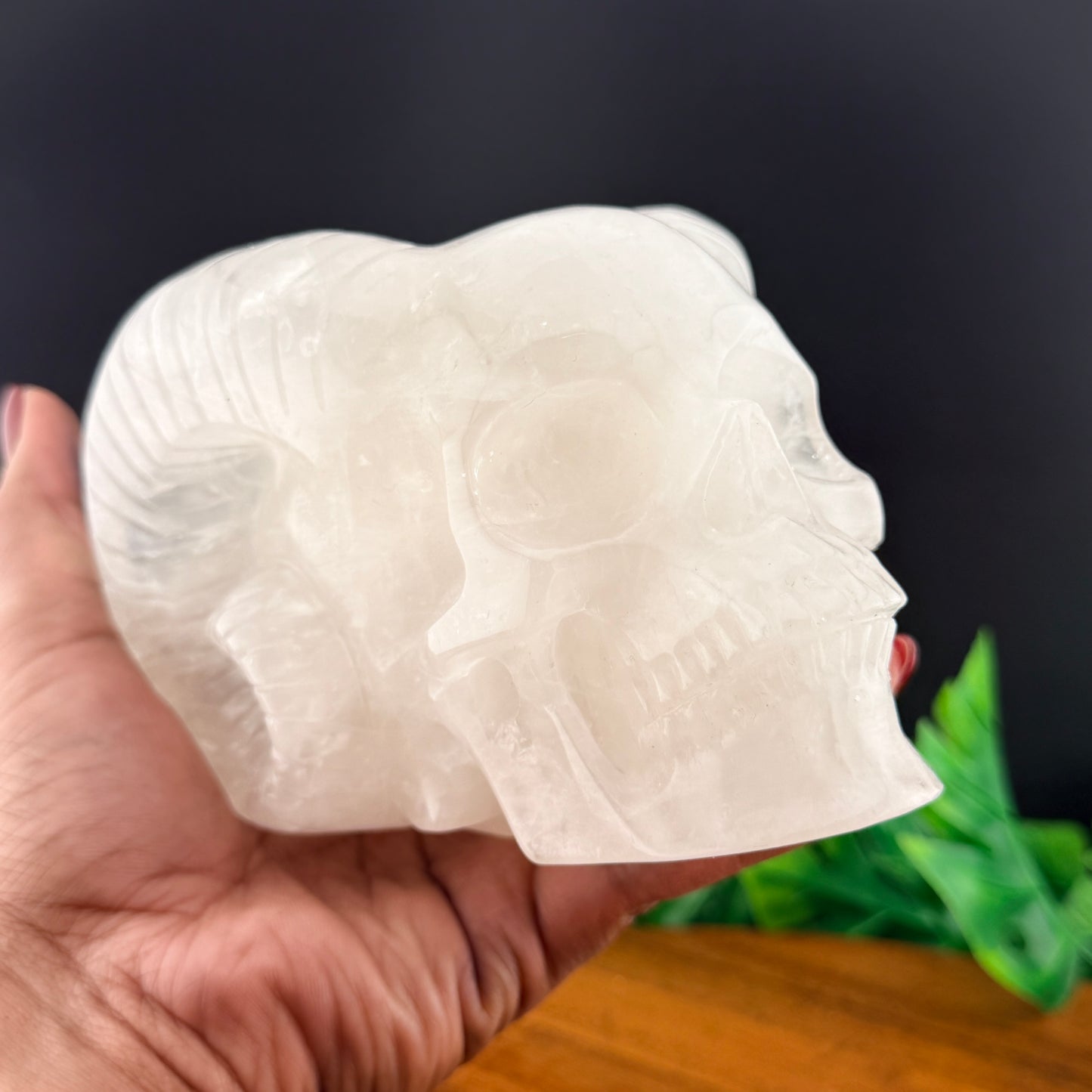 Clear Quartz Horned Skull