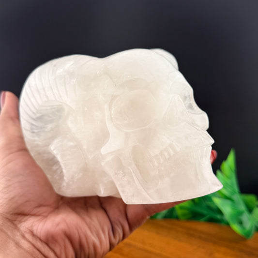 Clear Quartz Horned Skull