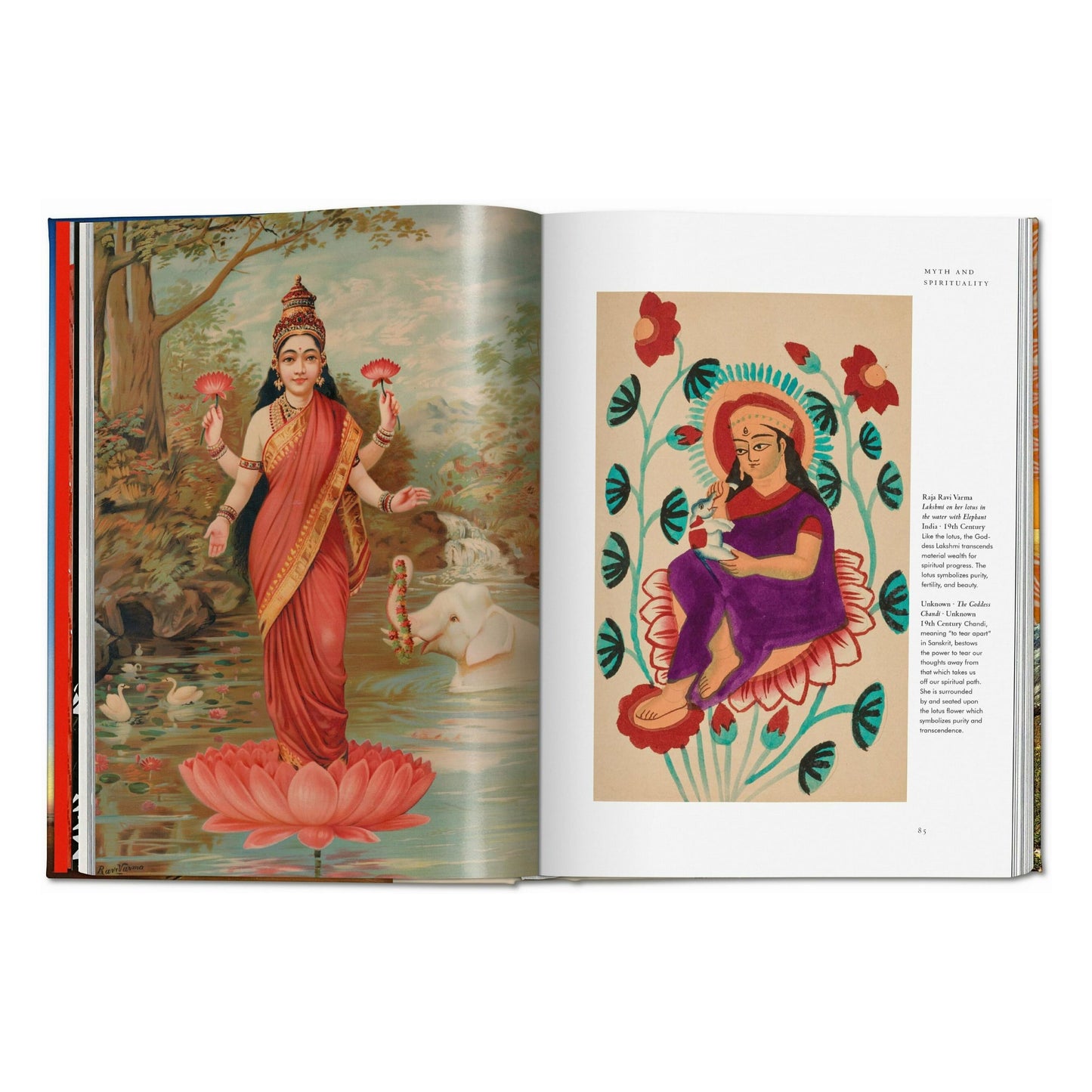 Plant Magick. The Library of Esoterica (English)