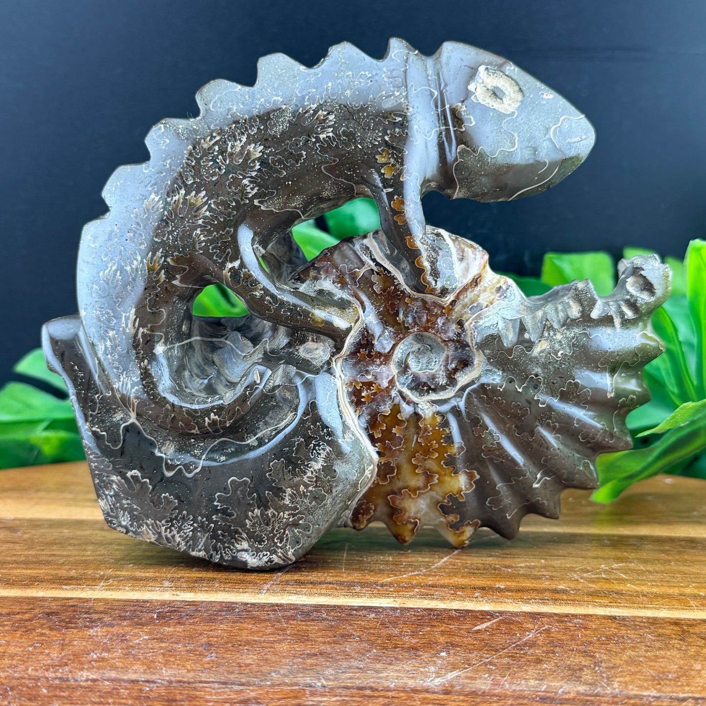 Ammonite Lizard Carving