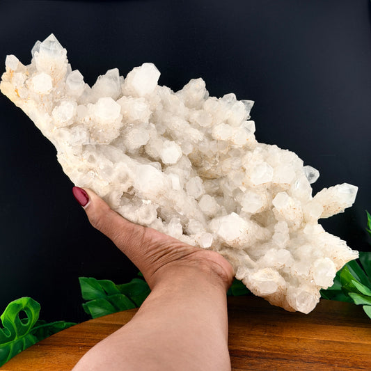 XL Pineapple Quartz Cluster