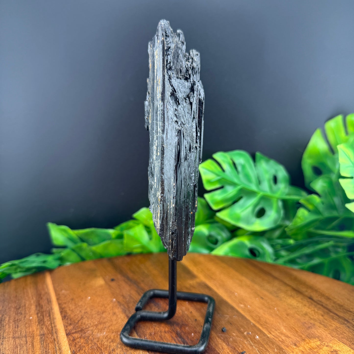 Black Tourmaline on Stand