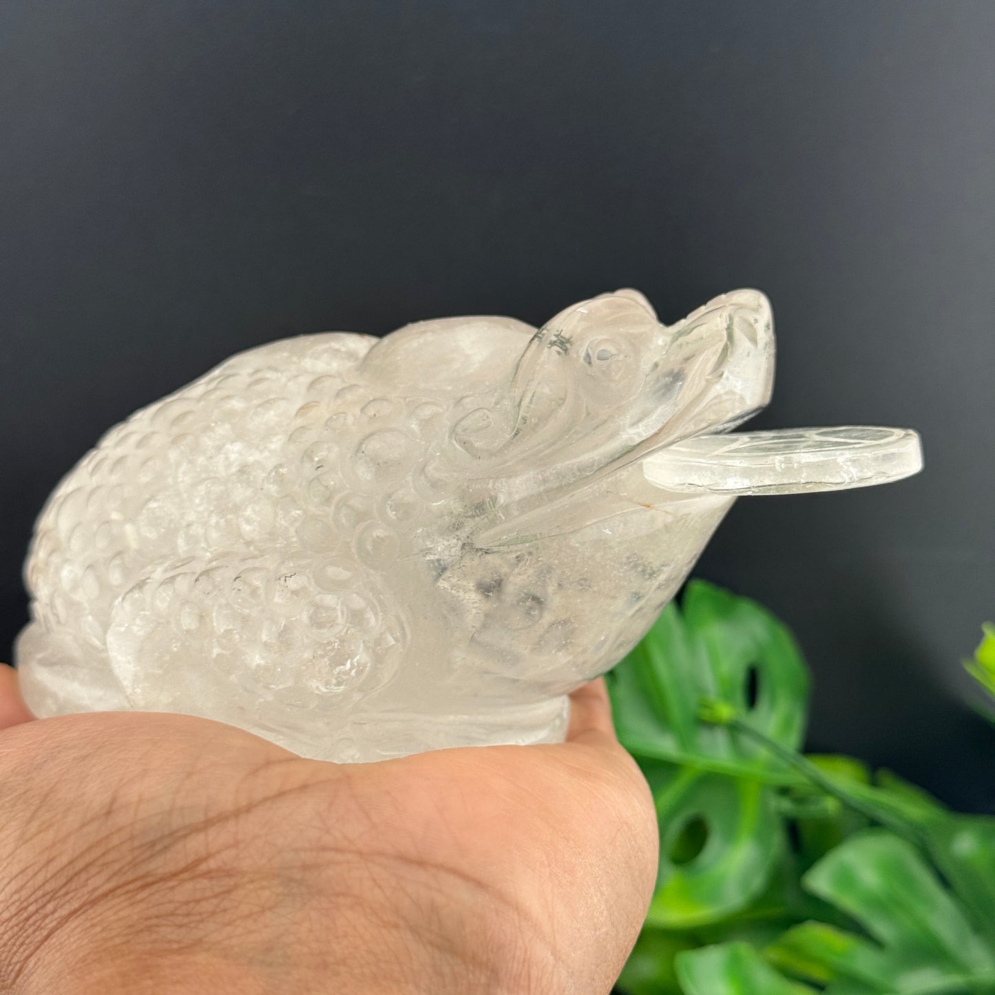 Clear Quartz Money Toad