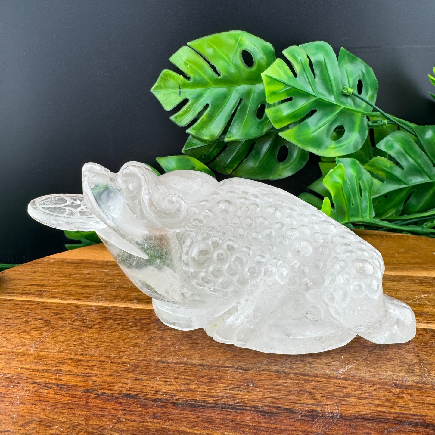 Clear Quartz Money Toad