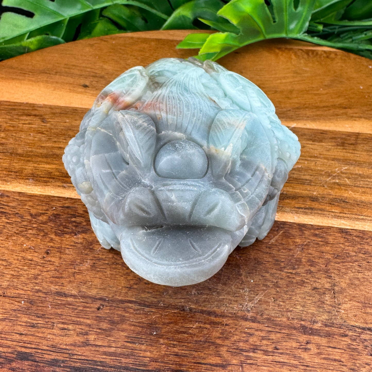 Amazonite Money Toad