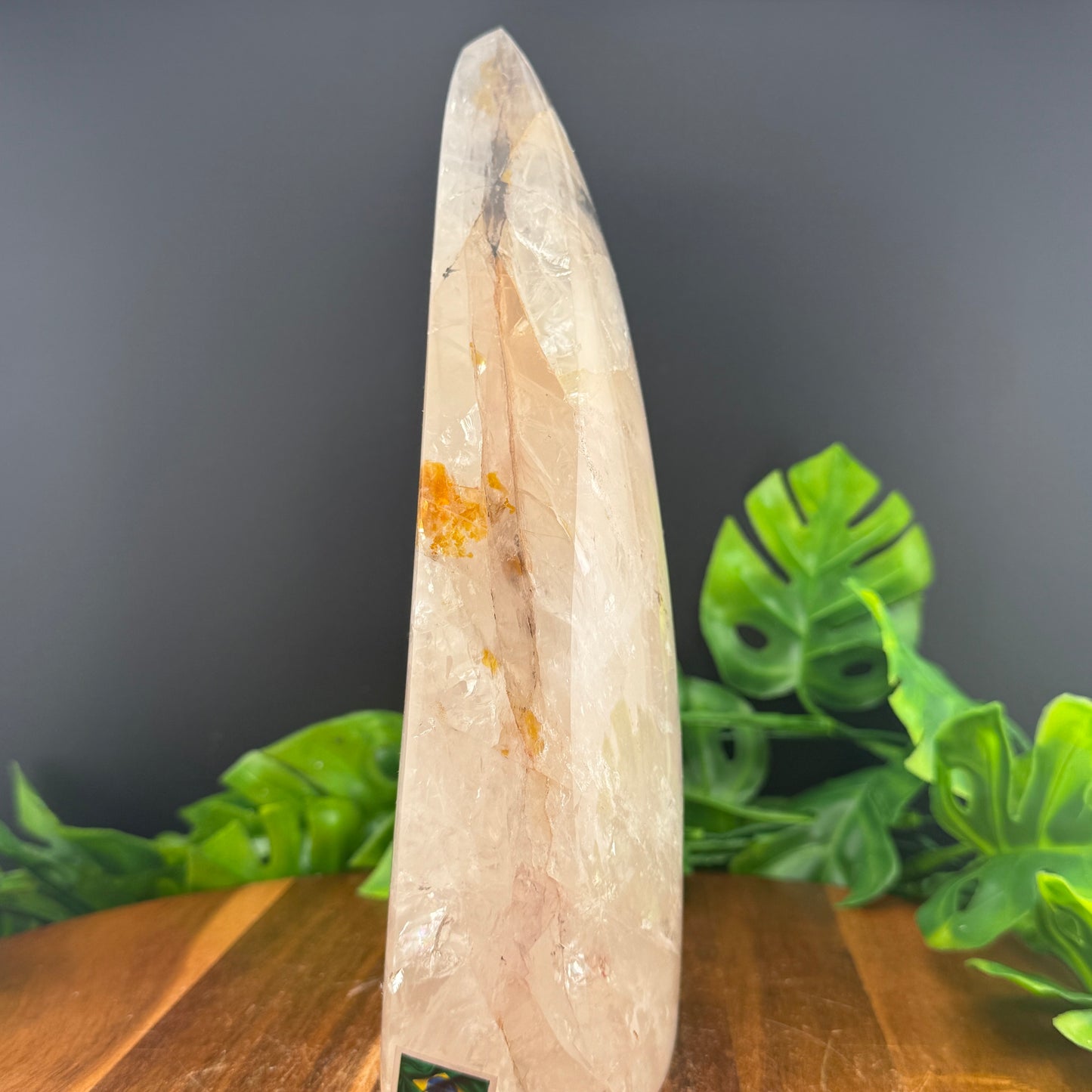 XL Brazilian Clear Quartz Flame with Dendrite