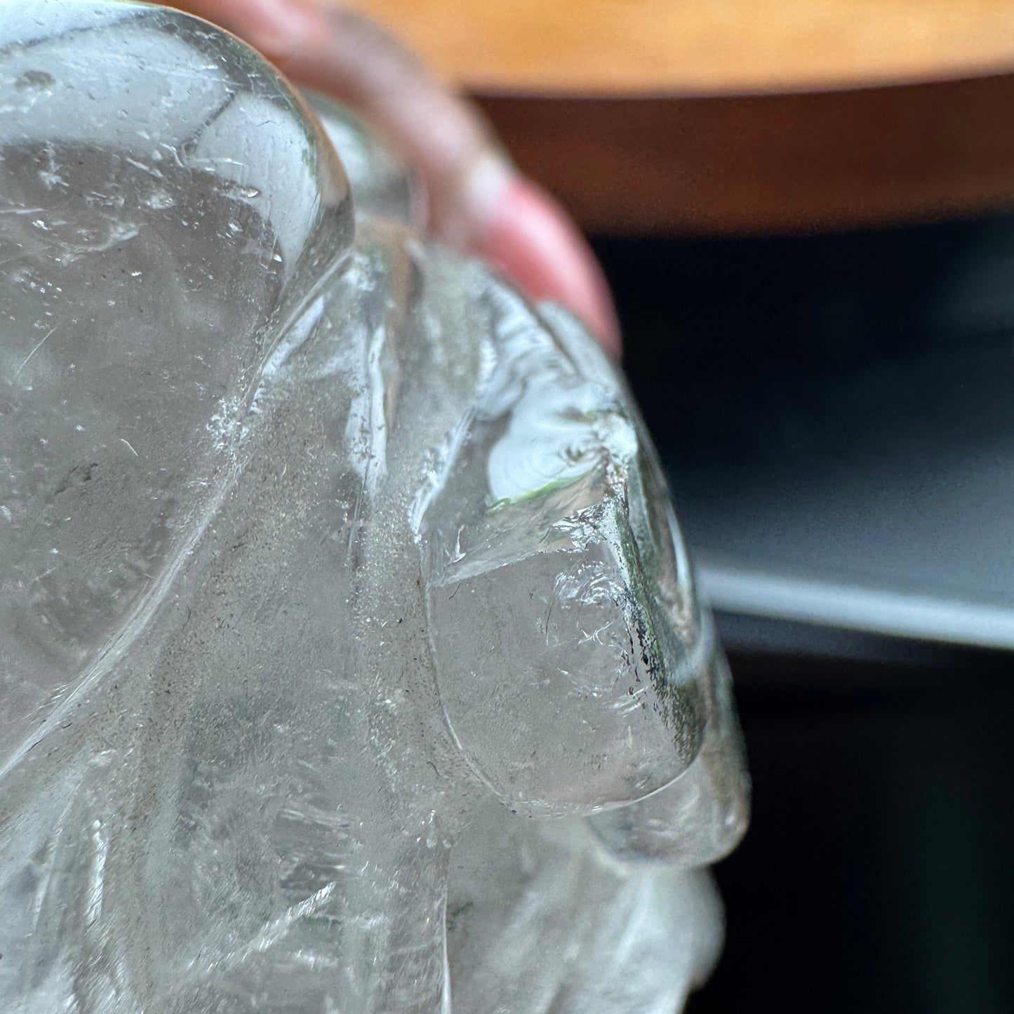 Clear Quartz Skull with Octopus Carving
