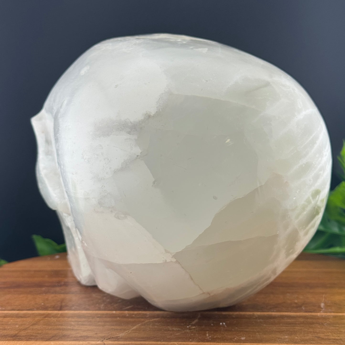 XL Satin Spar Selenite Skull