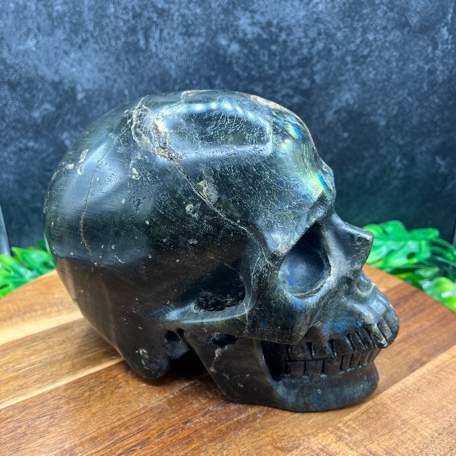 8" Labradorite Skull - Sage & Magic