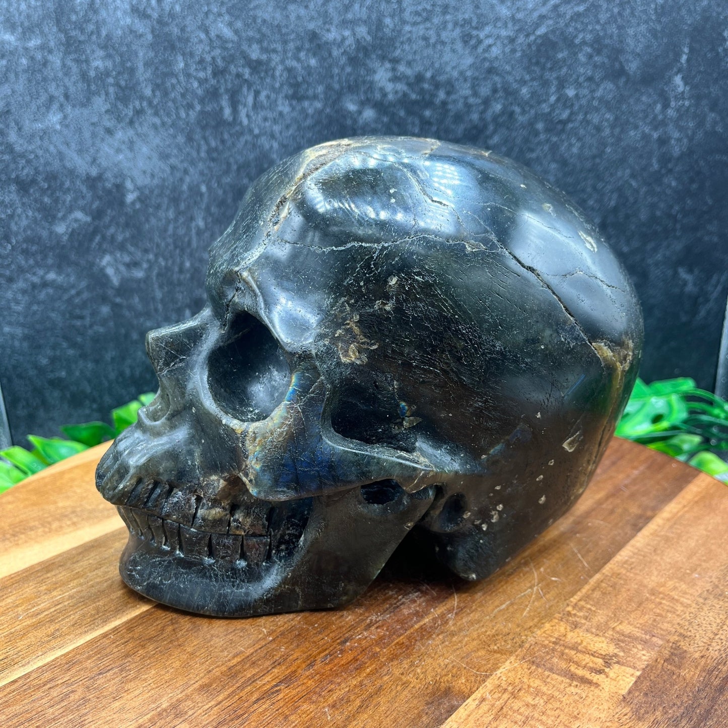 8" Labradorite Skull - Sage & Magic