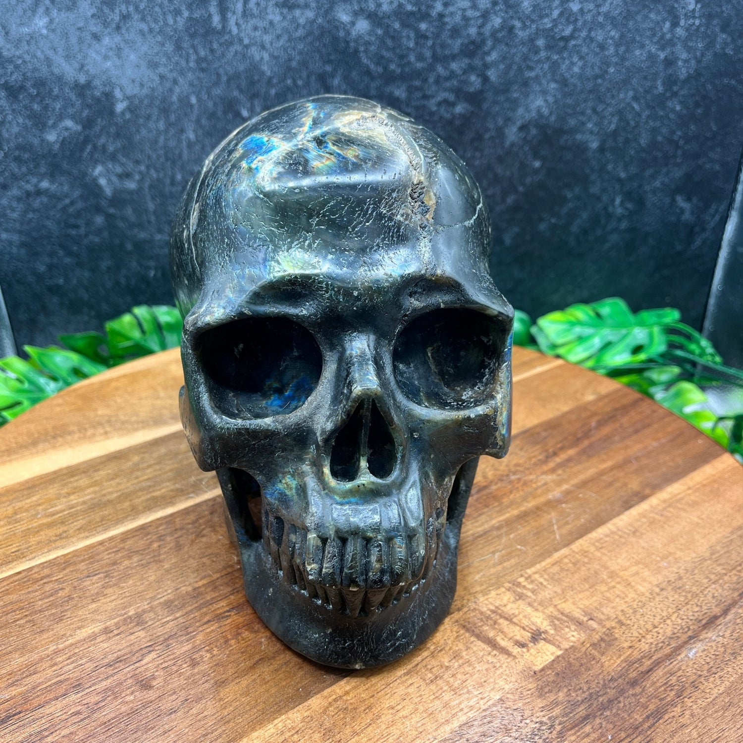 8" Labradorite Skull - Sage & Magic