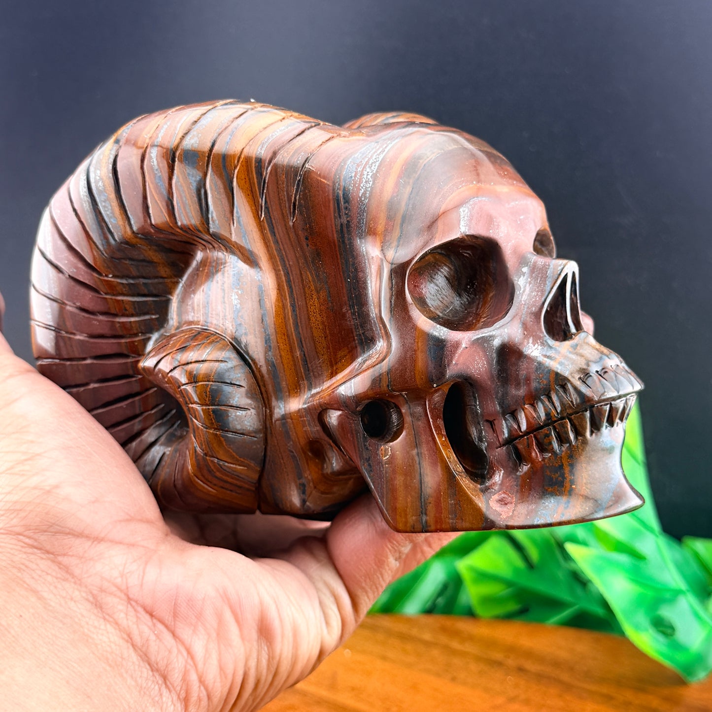 Iron Tiger Eye Horned Skull