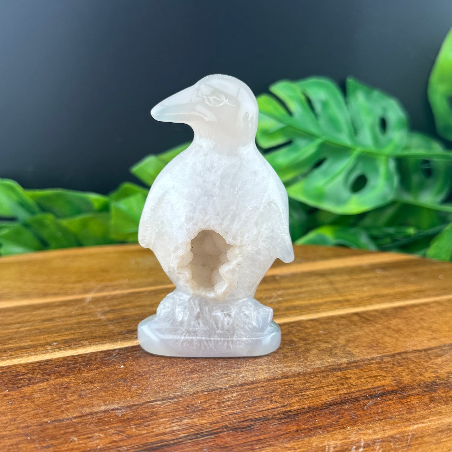 Botyrodial Druzy Agate Penguin