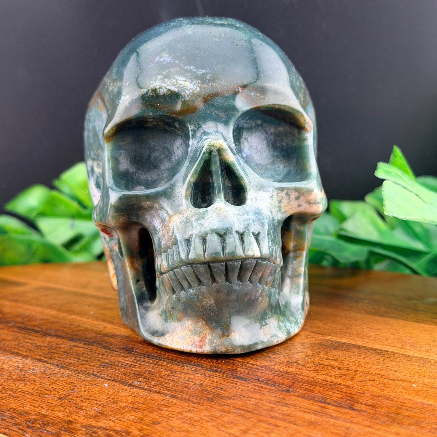 Ocean Jasper Skull