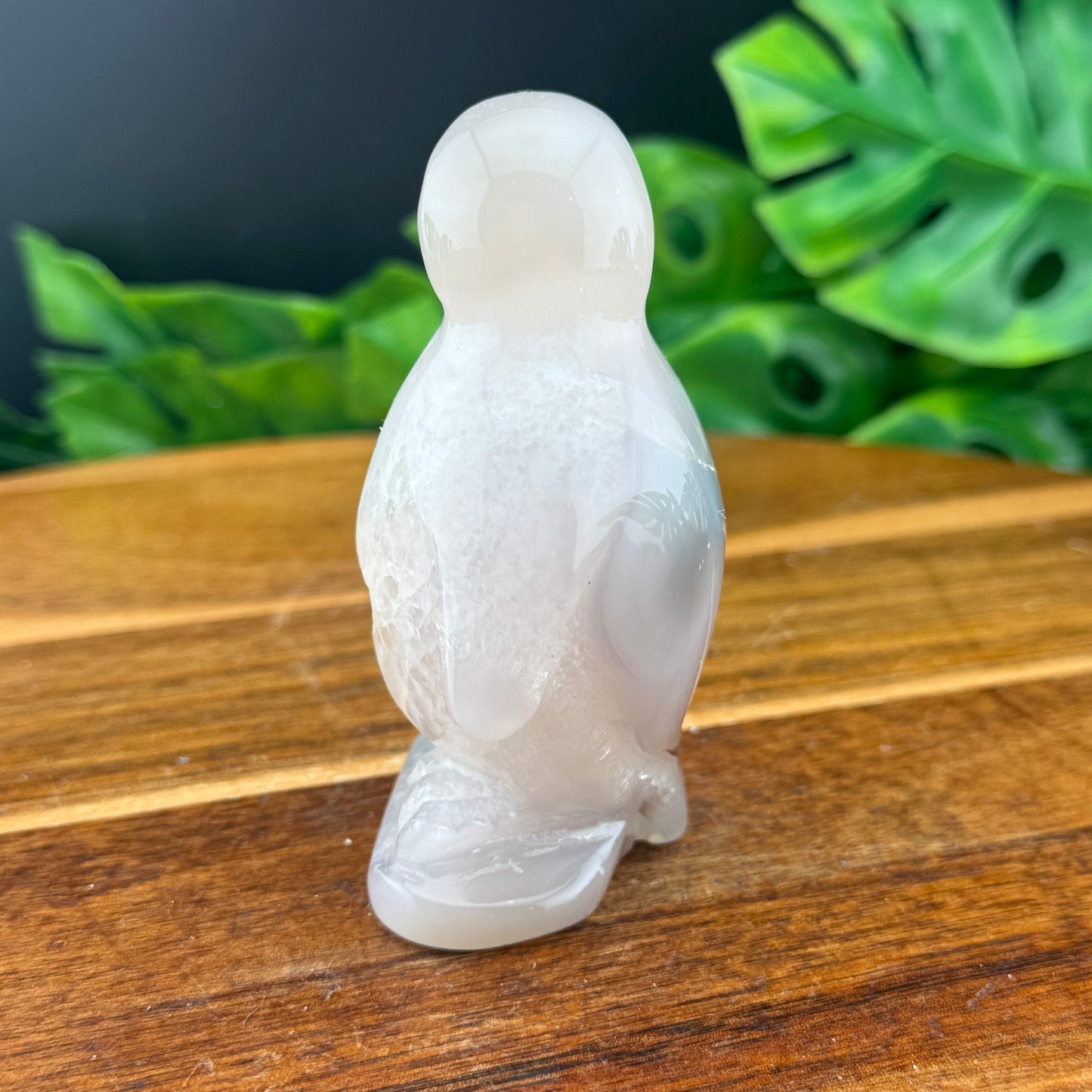 Botyrodial Druzy Agate Penguin