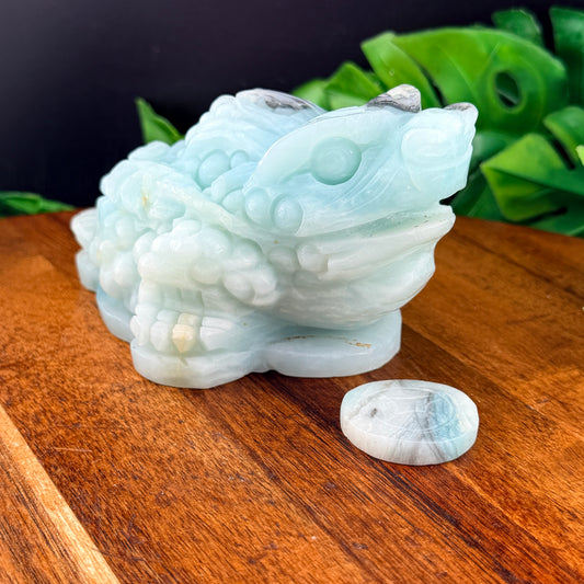 Carribean Calcite Money Toad