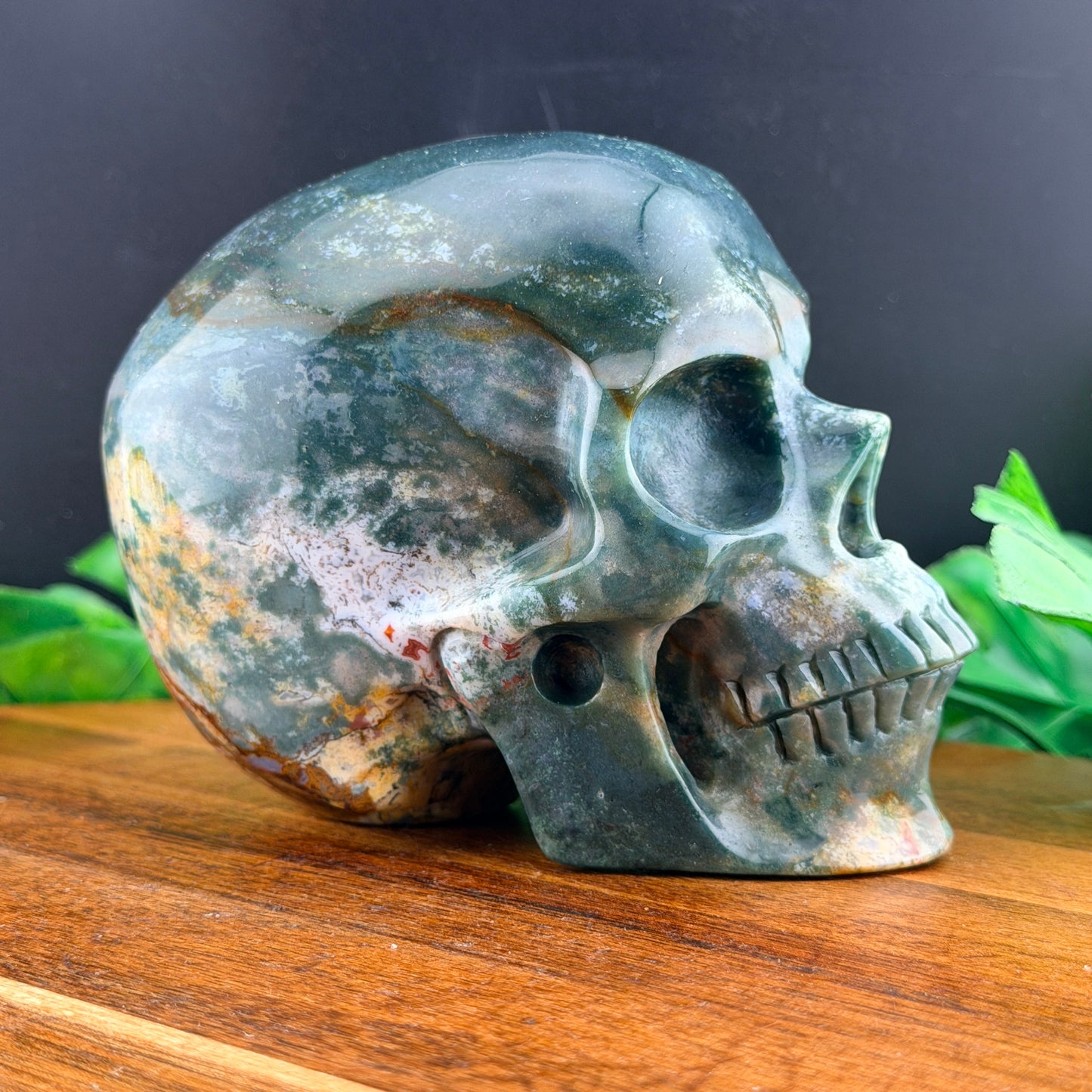 Ocean Jasper Skull