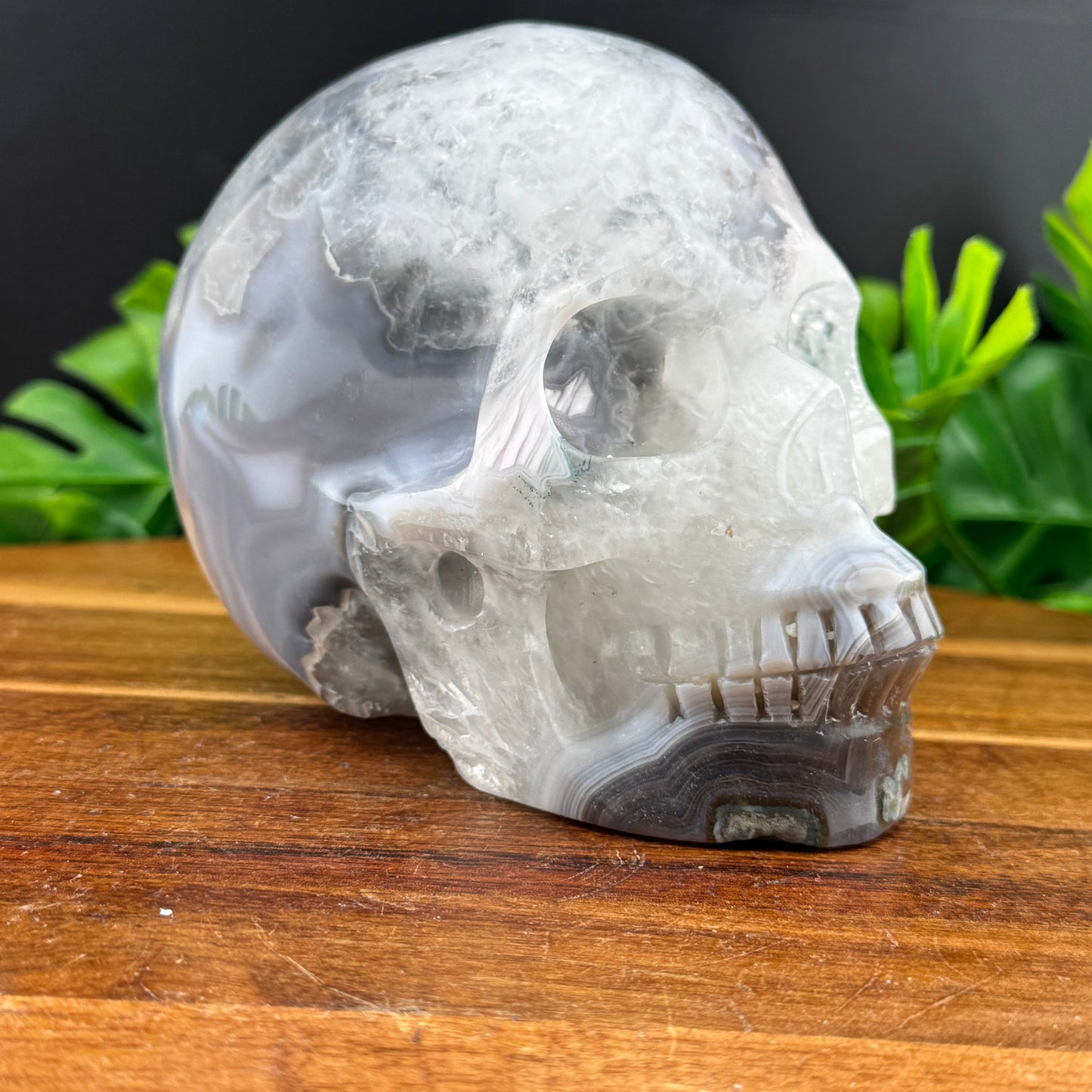 Banded Brazilian Agate Skull