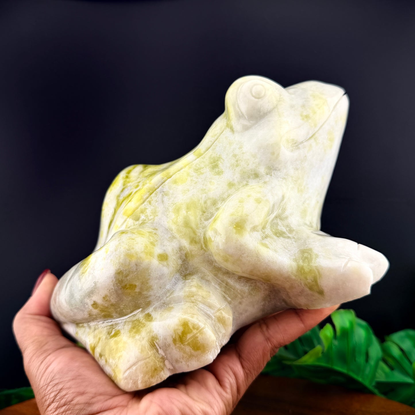 XL 8 inch Yellow and White Jade Frog