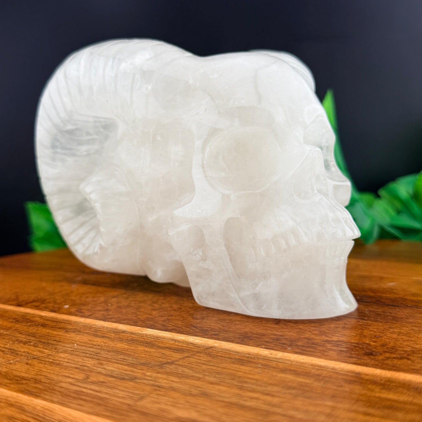 Clear Quartz Horned Skull
