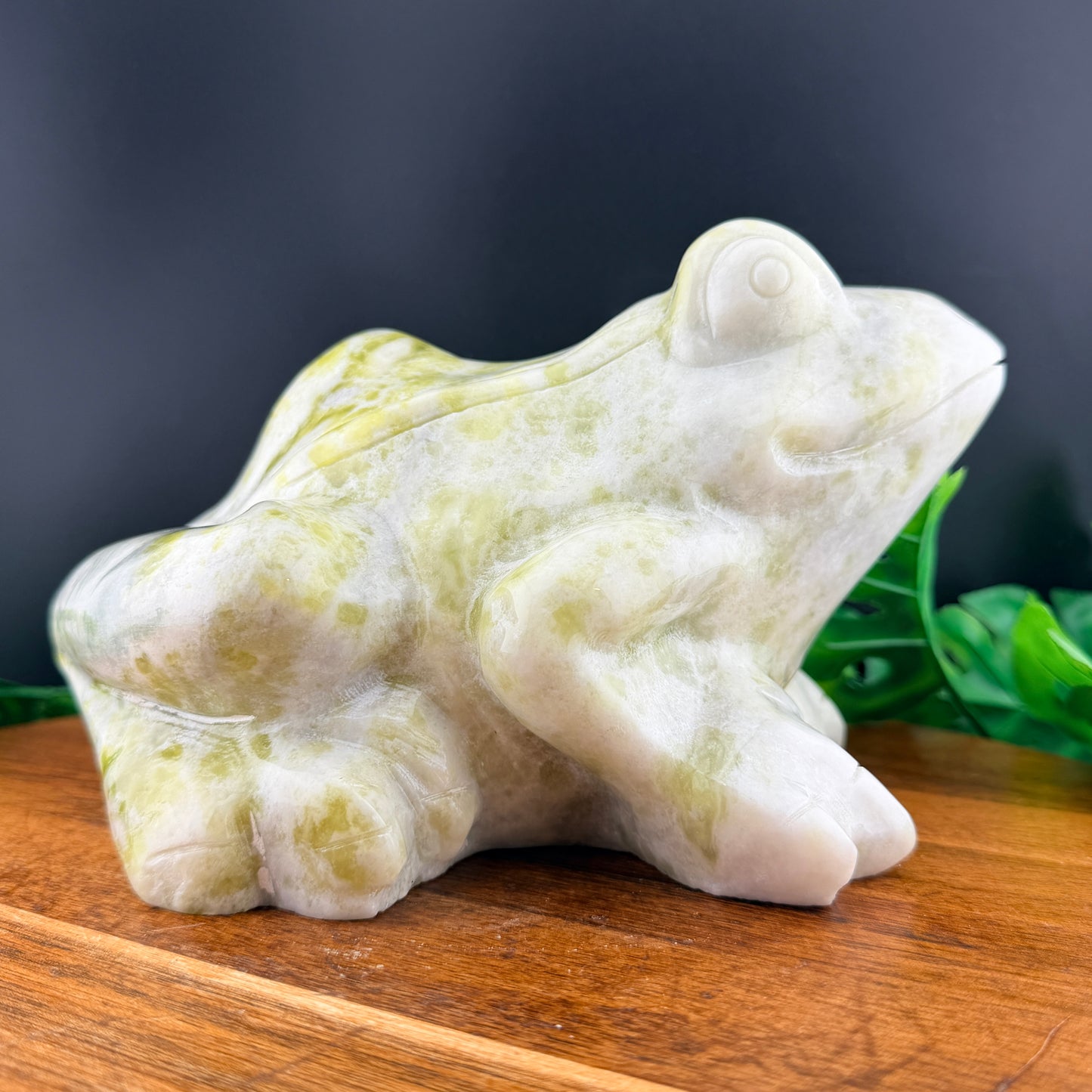 XL 8 inch Yellow and White Jade Frog