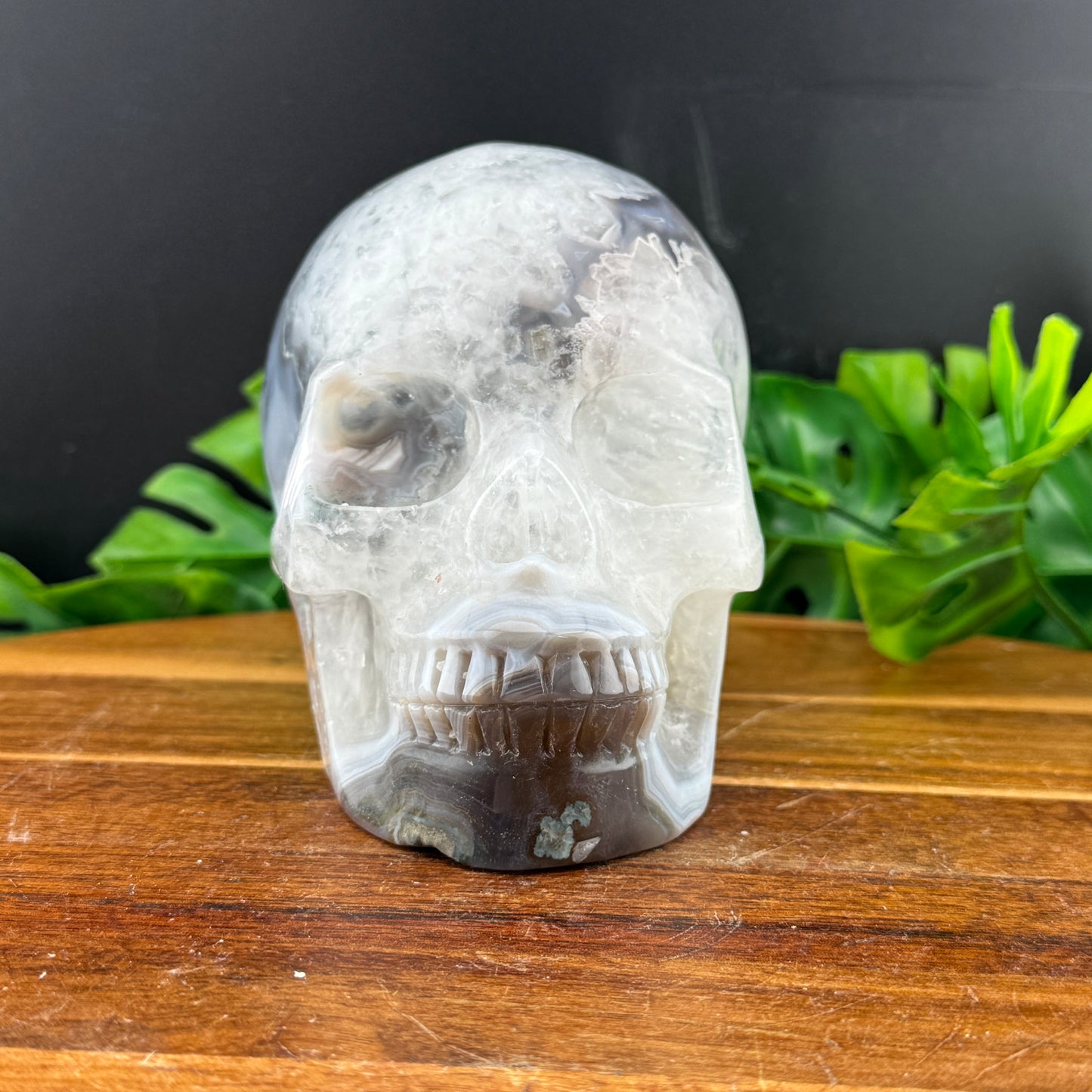 Banded Brazilian Agate Skull