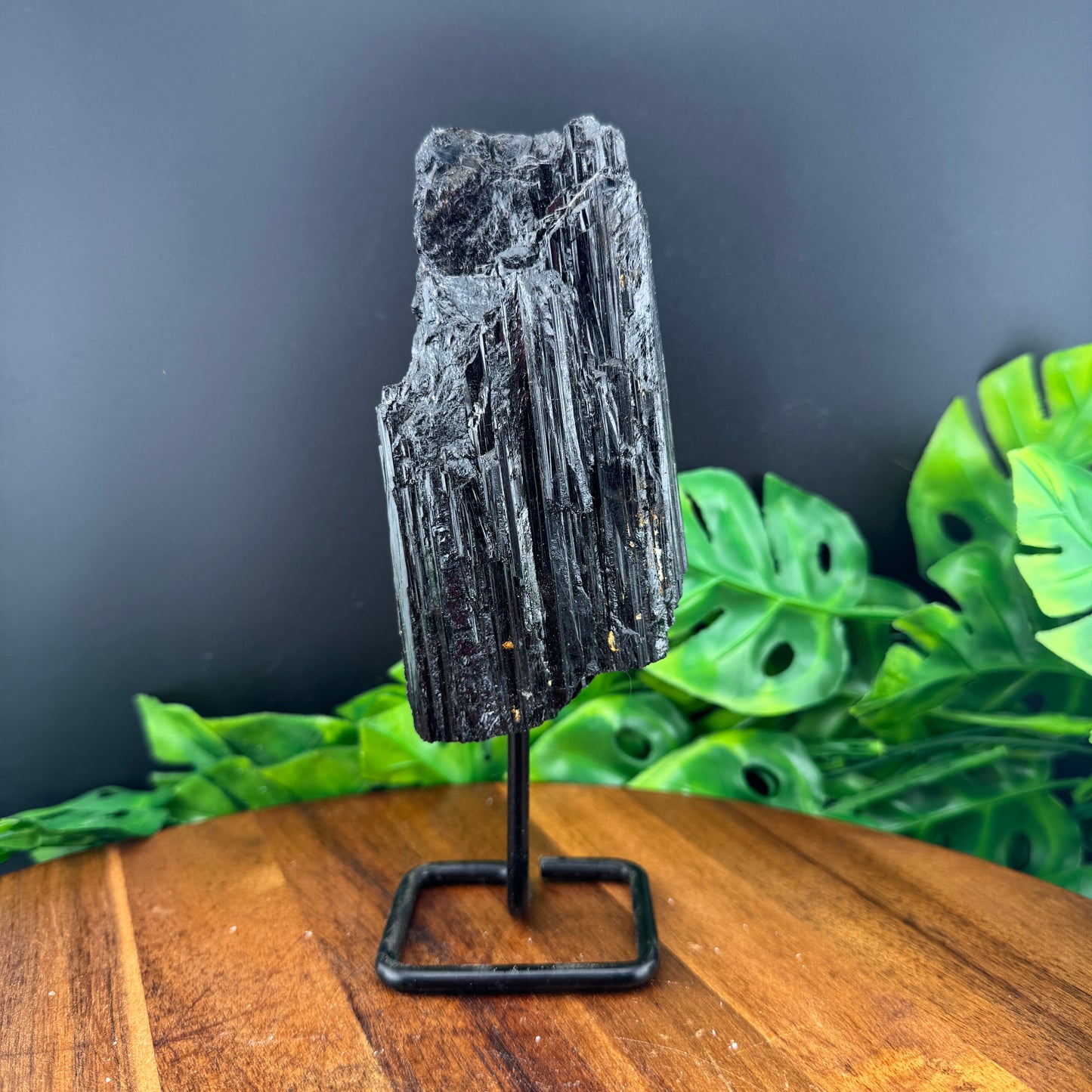 Black Tourmaline on Stand