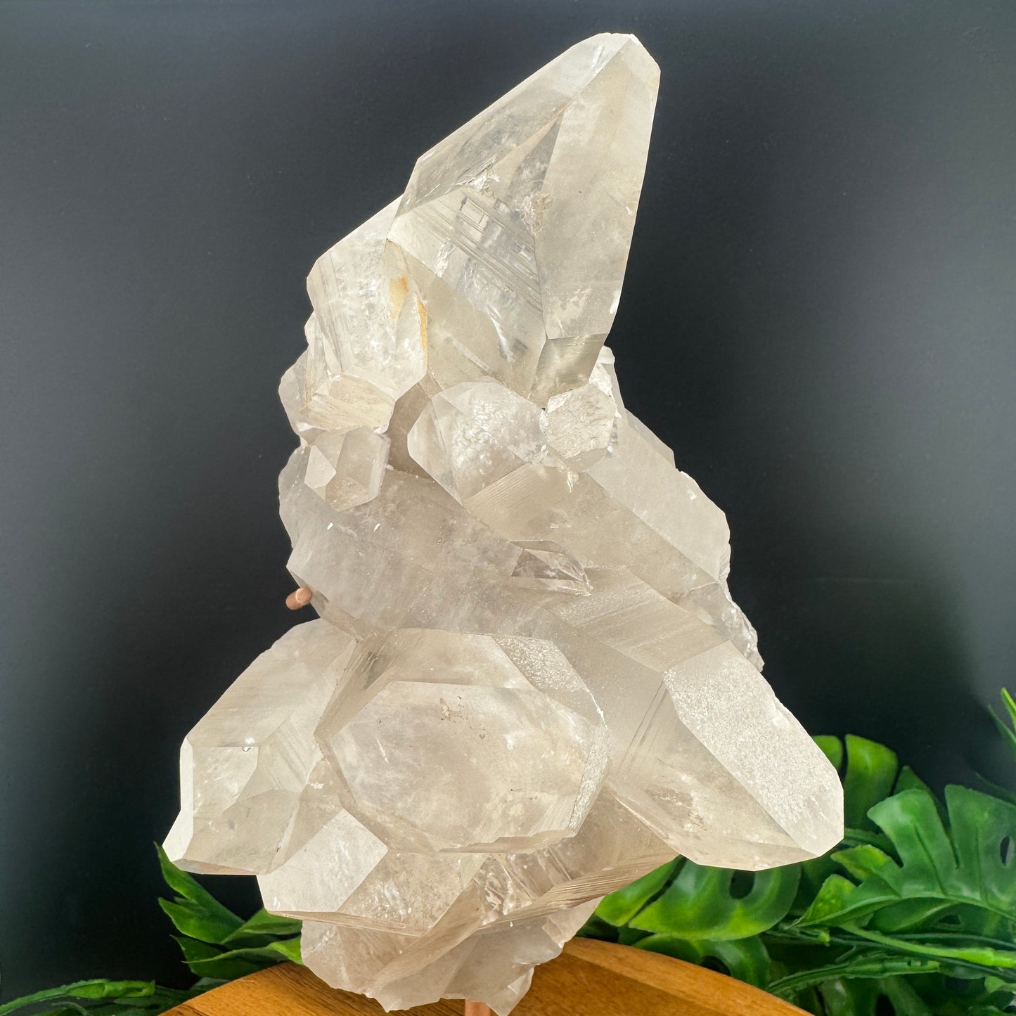 Beautiful Smoky Lemurian On Stand