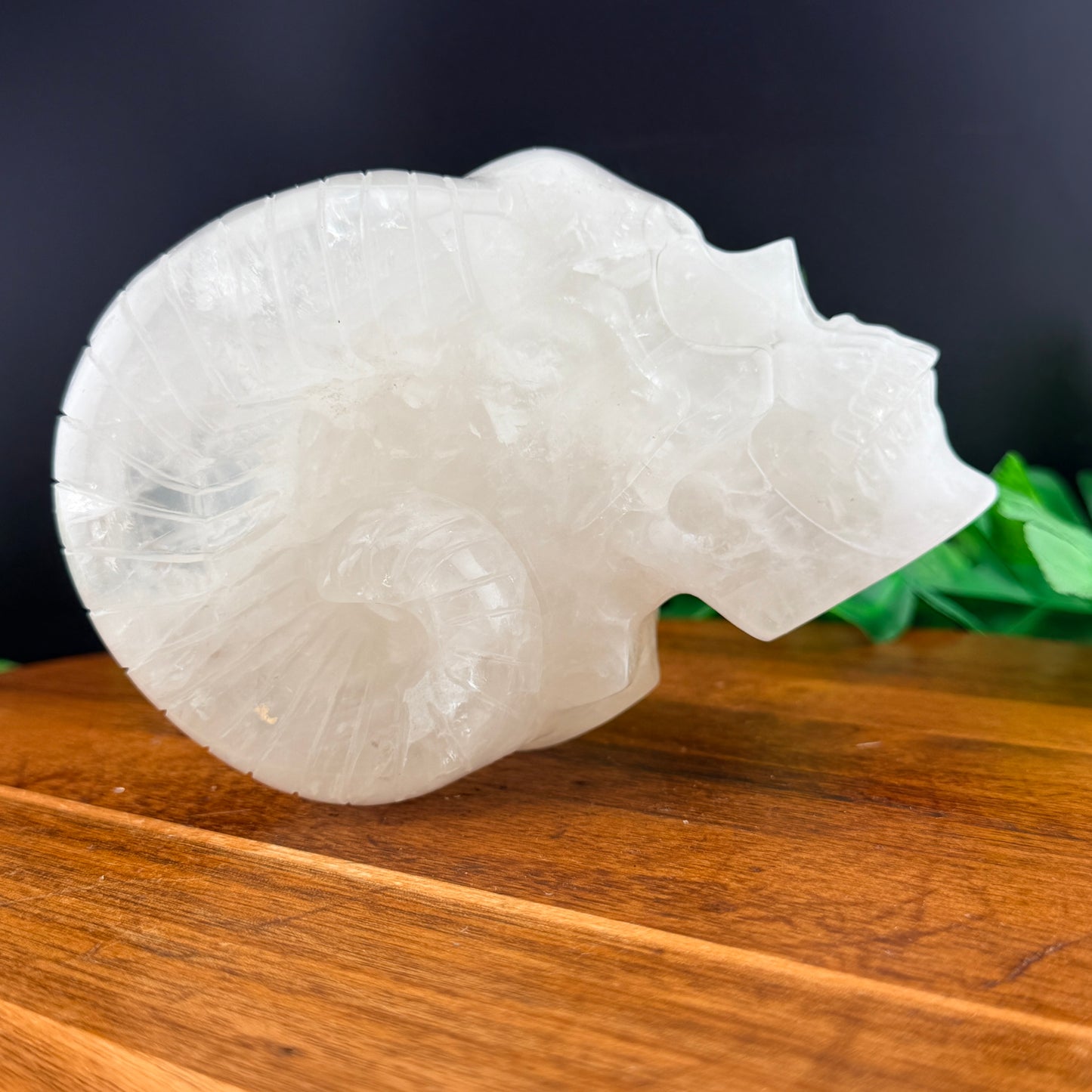 Clear Quartz Horned Skull