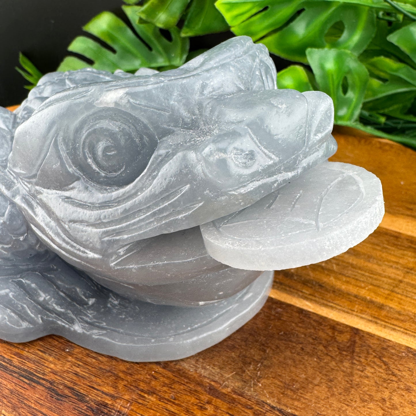 XL Angelite Money Toad