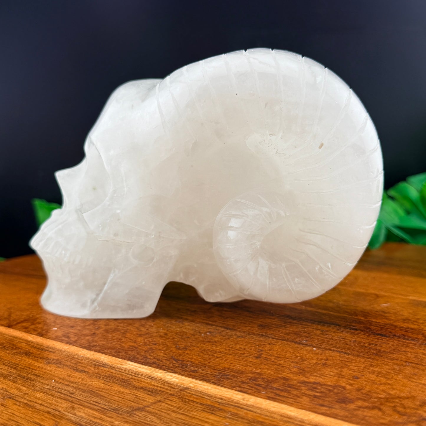 Clear Quartz Horned Skull