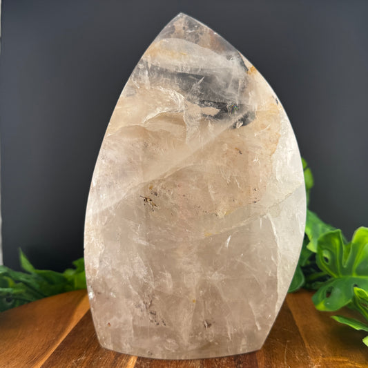 XL Brazilian Clear Quartz Flame with Dendrite