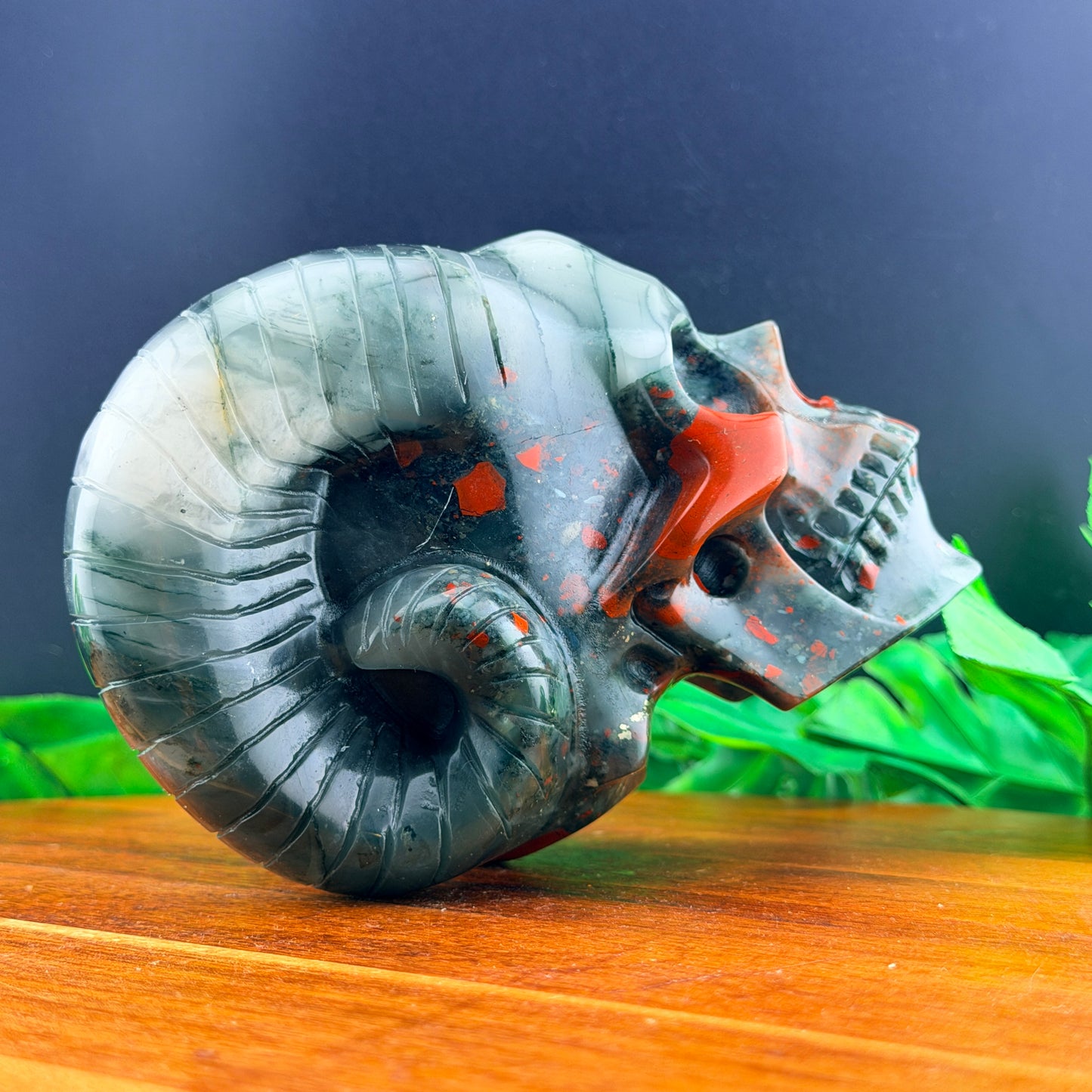 African Bloodstone Horned Skull