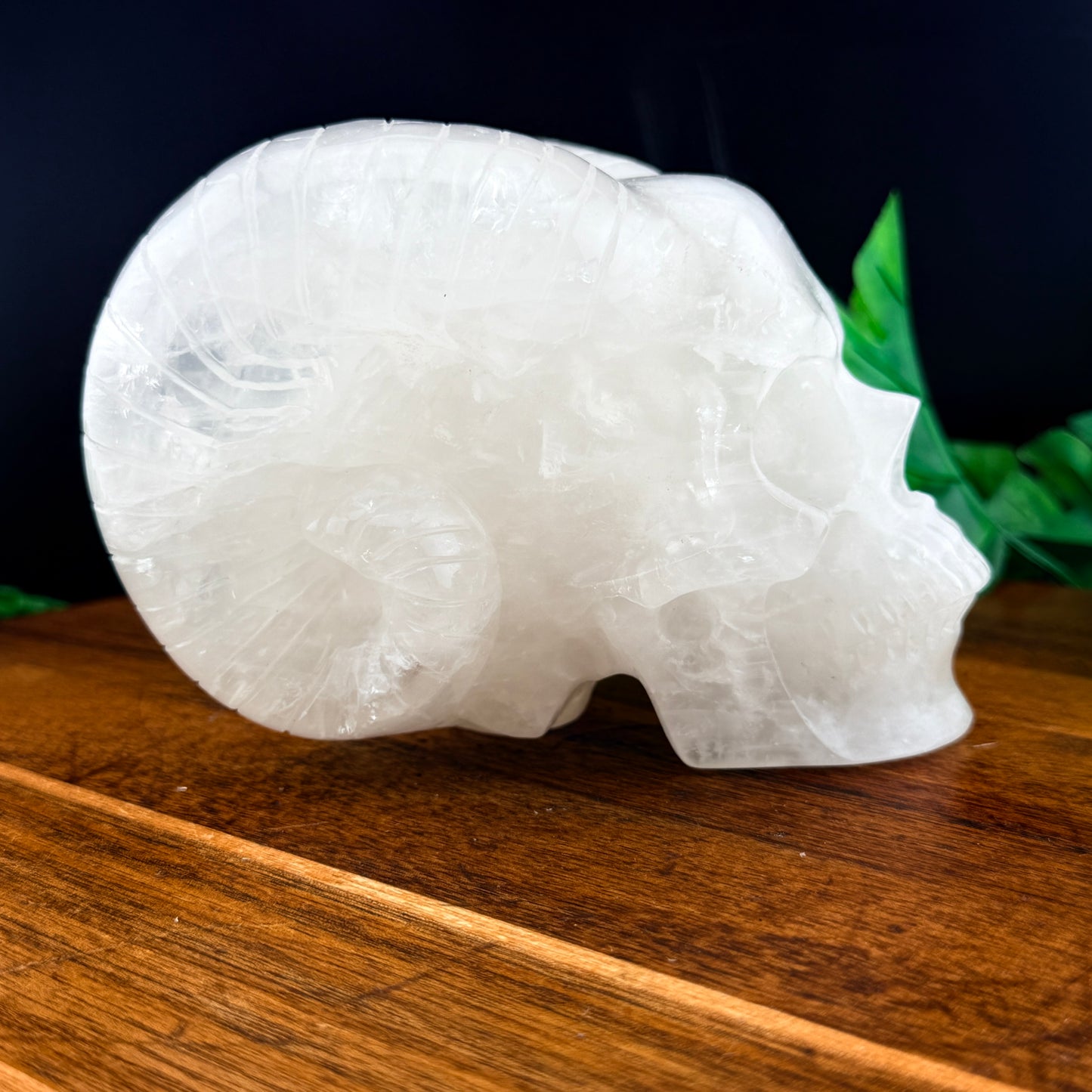 Clear Quartz Horned Skull