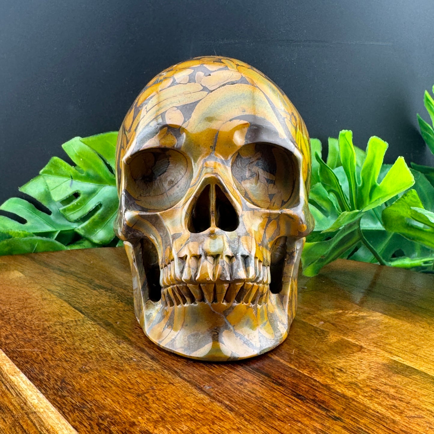 Bamboo Leaf Jasper Skull
