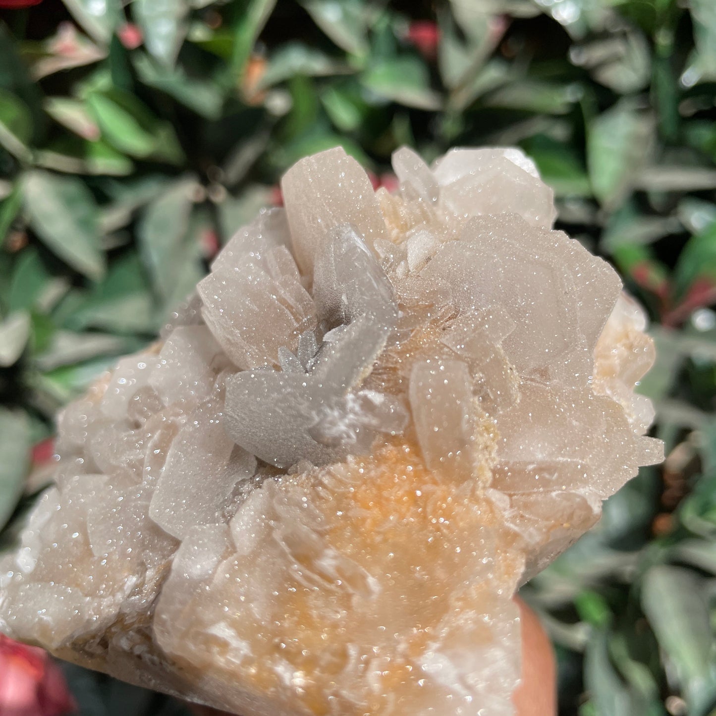 Rare Full Sugar Druzy Bladed Calcite Specimen