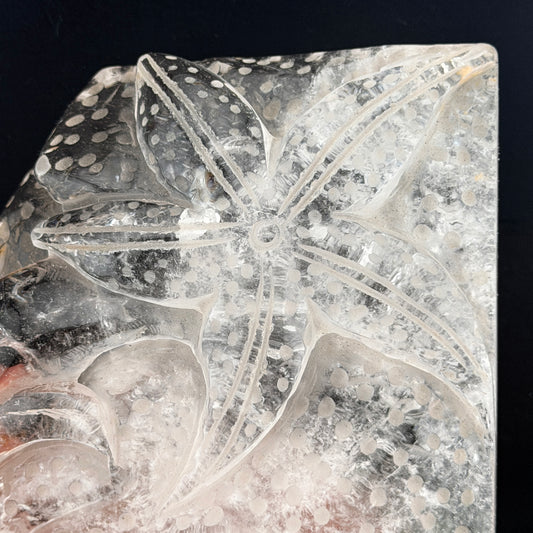 Clear Quartz Starfish & Dolphin Seascape