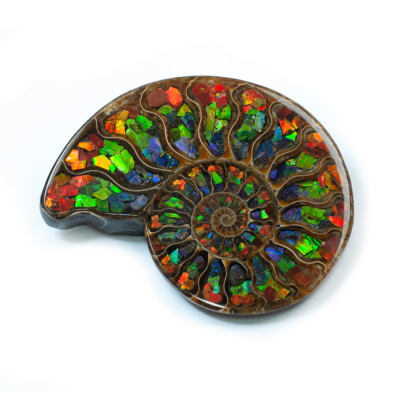 Ammonite Half with Ammolite Inlay Display Stone 10 cm, 1 Piece