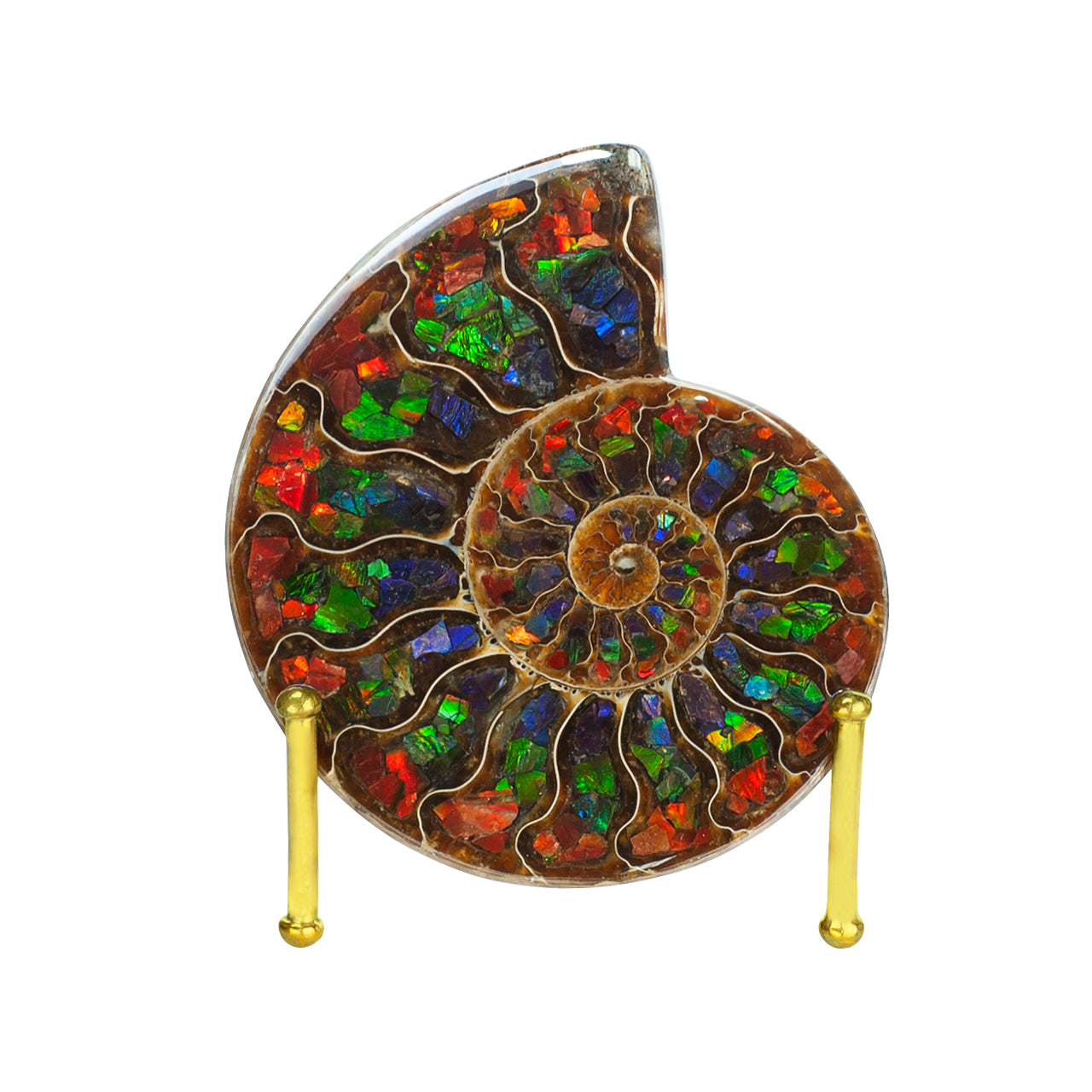 Ammonite Half with Ammolite Inlay Display Stone 10 cm, 1 Piece