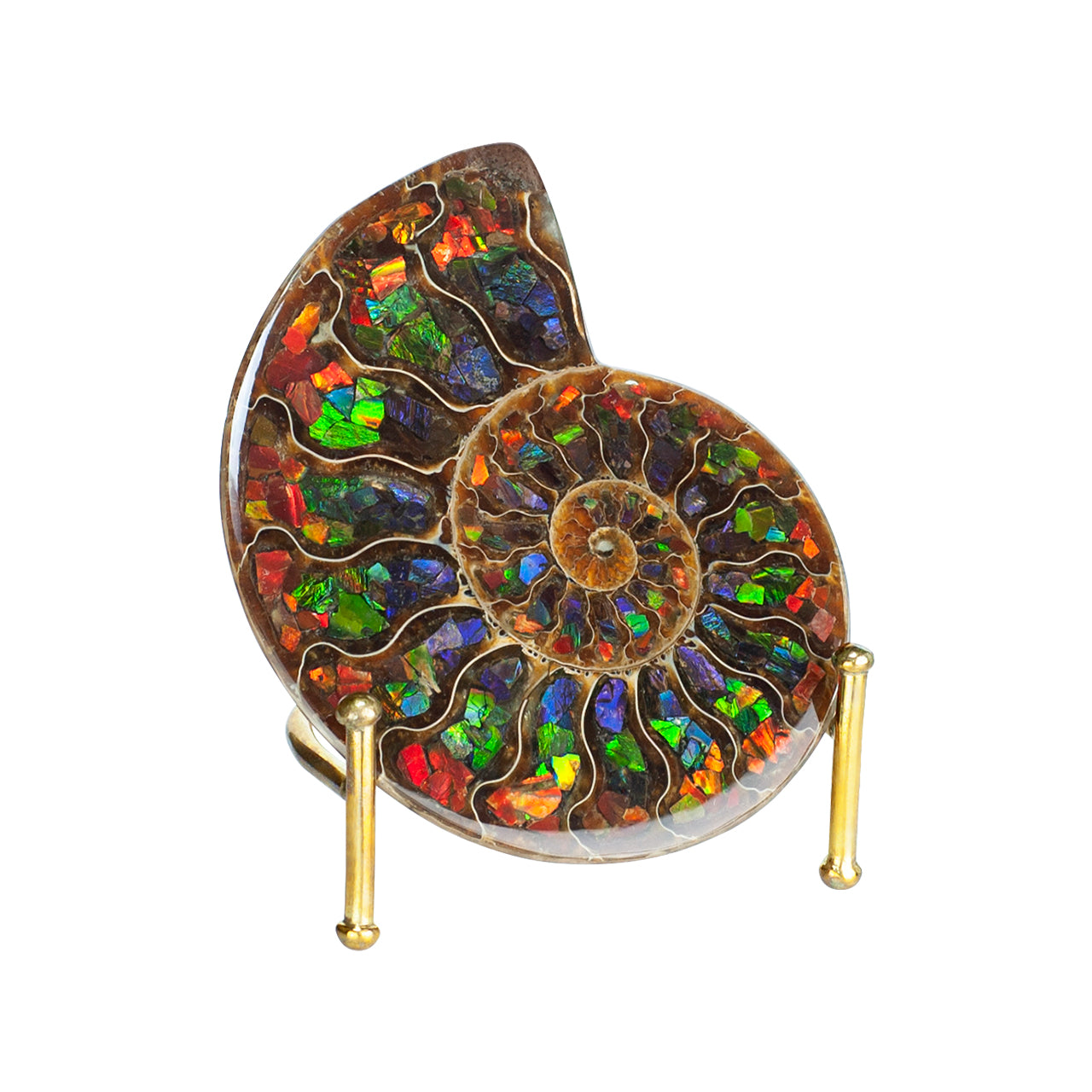 Ammonite Half with Ammolite Inlay Display Stone 10 cm, 1 Piece