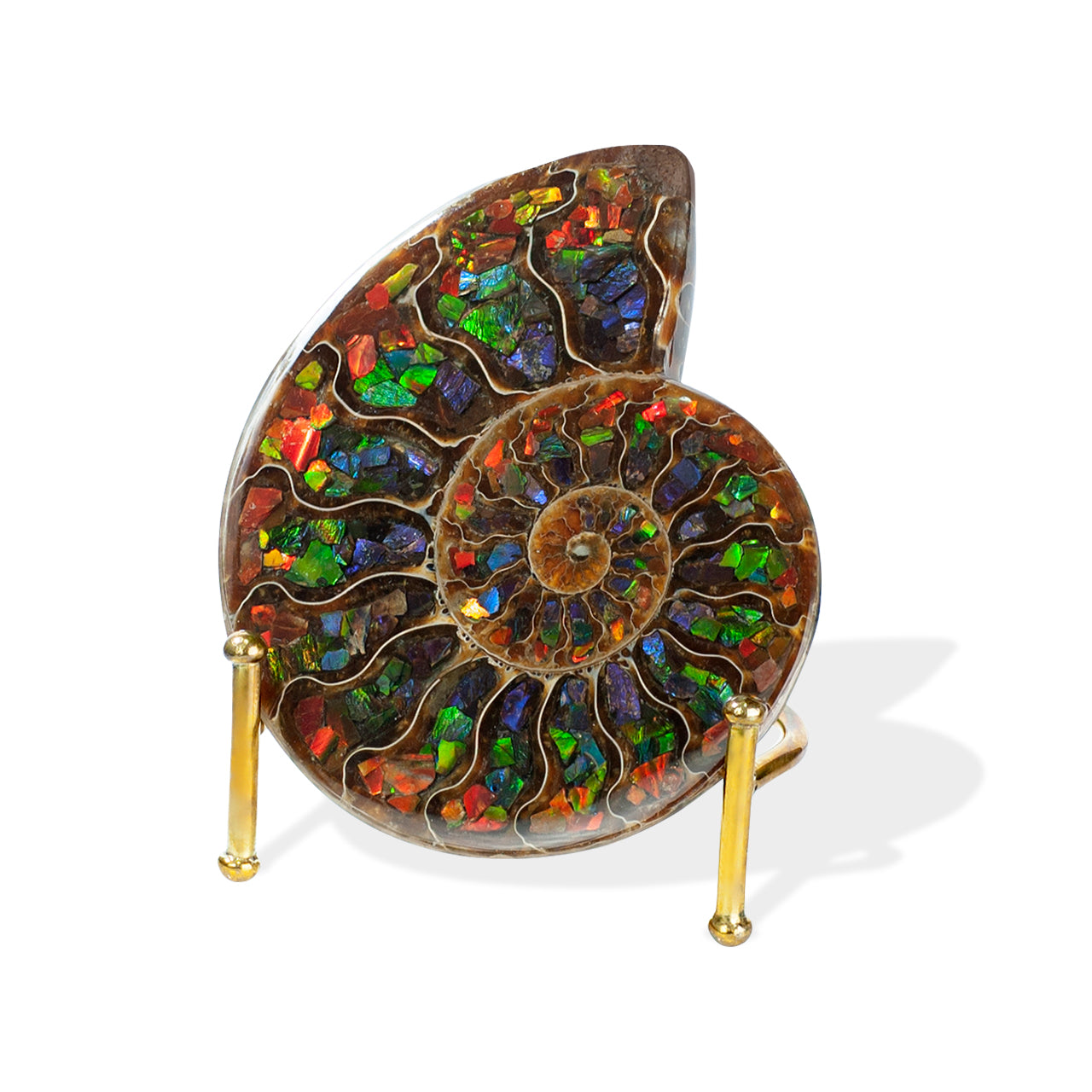 Ammonite Half with Ammolite Inlay Display Stone 10 cm, 1 Piece
