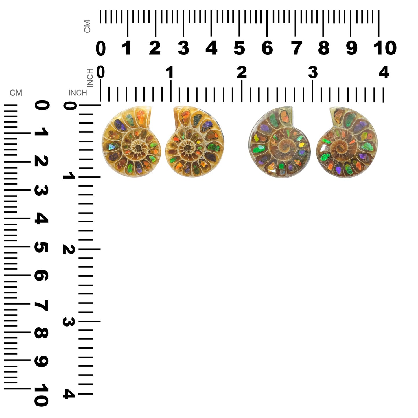 Starborn Ammonite with Ammolite Inlay Cabochons 25 - 27 mm, 1 Pair